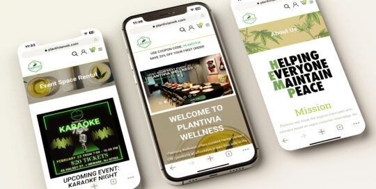 Custom wordpress design for Plantivia Wellness by Remeoner